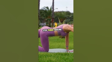 How to Install Bird Netting: Step-by-Step Guide #bird #birdnetting