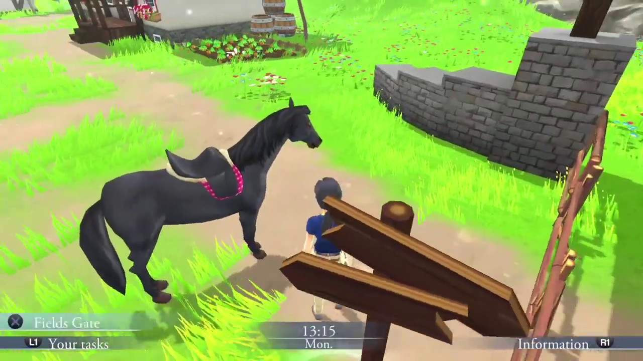 My Riding Stables: Life with Horses (PS4) How to Ride White Horses ...