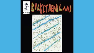 NEW ALBUM!! Mirror Streams - Buckethead (Pike 518)