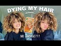 I DYED MY NATURALLY CURLY HAIR BLONDE AT HOME - creme of nature hair dye