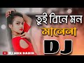 Tui Bine Mon Mane Na Remix | Bangla Dj Song | Mrk Kadir | Tiktok Viral Dj Gan 2022
