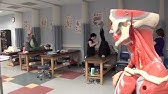 ACM Major Monday - Physical Therapist Assistant - YouTube