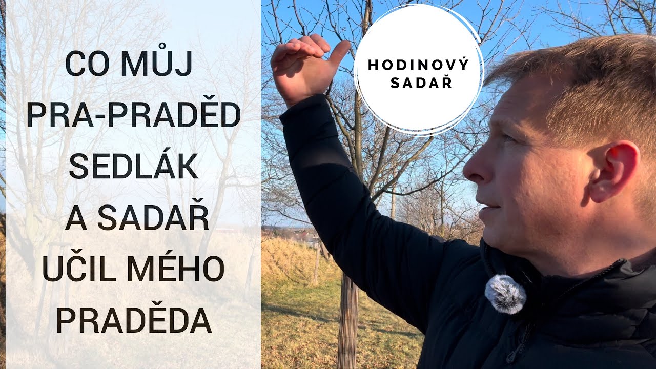 🌳 Prastará pravda o řezu ovocných stromů 🌳 Jak na jaře stříhat ovocné stromy 🌳