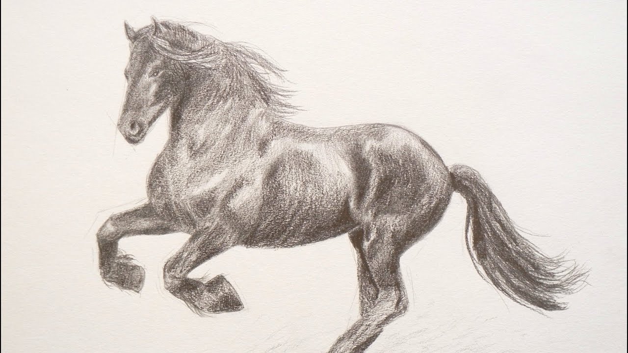 Cómo dibujar un caballo - Arte Divierte - thptnganamst.edu.vn