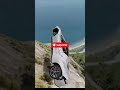 Silver Ferrari GT vs Giant Cliff - BeamNG.drive