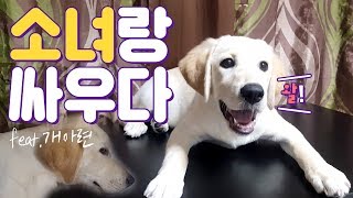 ENG SUB _ Beware of loud talk _ I fought with my dog ★