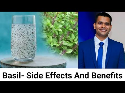 Basil Seeds - Side Effects And 5 Surprising