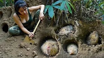 What She Found on Day 17 Changed Everything – White Bamboo Rats in the Heart of the Forest