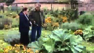 predivna bio bašta mpeg2video