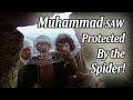 Nabi muhammad saw full movie spider saved prophet muhammad  prophet muhammad movie full 