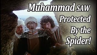 Nabi Muhammad SAW Full Movie Spider Menyelamatkan Nabi Muhammad | Film Nabi Muhammad Full |