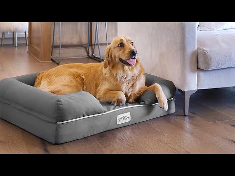 The 6 Best Dog Beds 2023