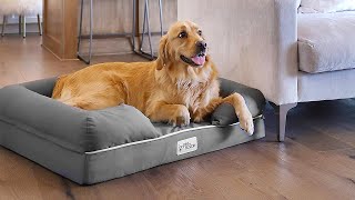 The 6 Best Dog Beds 2024