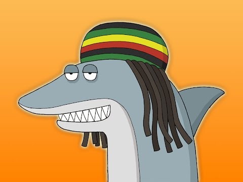 reggae-shark™