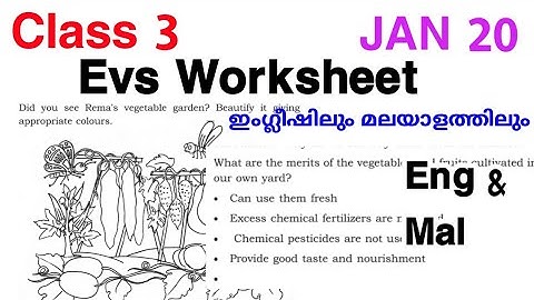 Class 3 Evs Worksheet Jan 20| Std 3 Environmental Studies Worksheet|3 class evs worksheet|Talenthunt