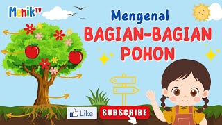 Mengenal Bagian-bagian Pohon