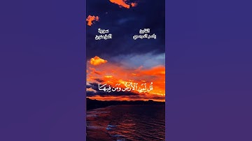 ياسر الدوسري/ سورة المؤمنون #قرآن #قران_كريم #تلاوة_خاشعة #تلاوة #quran #tilawat #tilawatequran