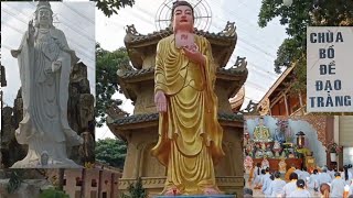 Chùa bồ đề Đạo tràng tọa lạc ở thuận an bình dương rất đẹp nhiều người đến chiêm bái Phật by Quang TV678 192 views 3 weeks ago 8 minutes, 18 seconds