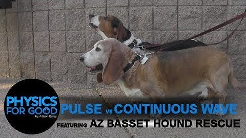 What is a Wave Pulse? What is a Continuous Wave? Featuring Arizona Basset Hound Rescue