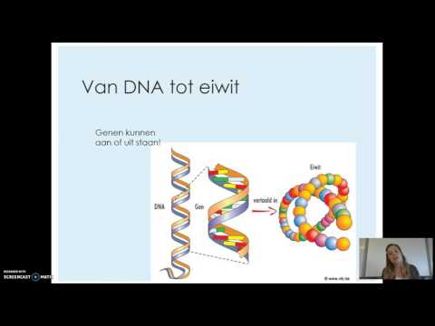 Video: Evolutionaire En Ontwikkelingsdynamiek Van Geslachtsgevoelige Genexpressie Bij Gewone Kikkers Met Proto-Y-chromosomen