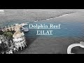 Dolphin Reef | Eilat 2020