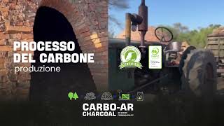 Carbo-AR and its kilns: