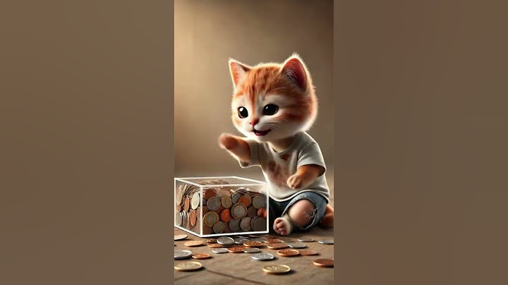 The kitten who was ridiculed worked hard just to buy a cool lightsaber, so cute, super cute, the c