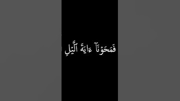 سورة الإسراء الاية 12 ||  ياسر الدوسري