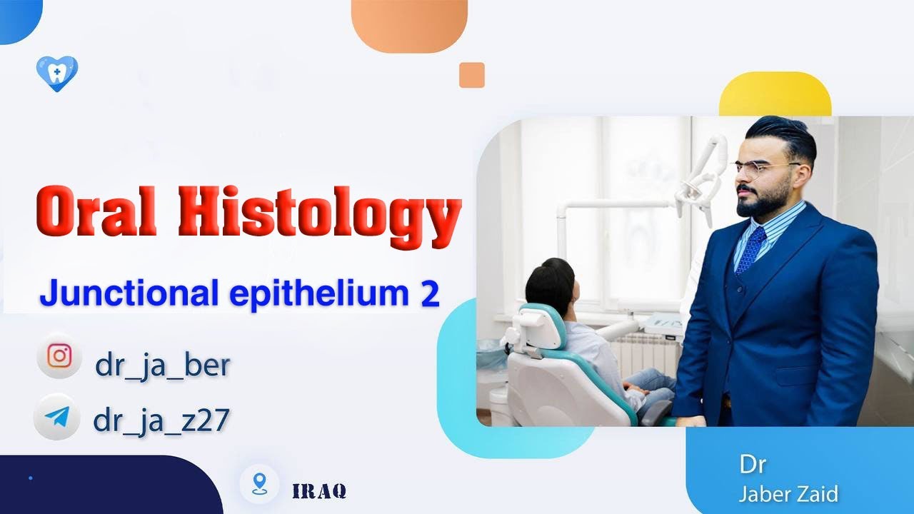 Oral Histology _ ( Junctional epithelium part 2 )