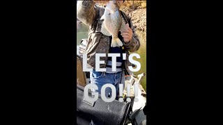 FALL CRAPPIE| CRAPPIE On A JIG! 👀😎🔥 #shorts   #fishing