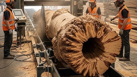 The discovery of hollow wood was full of surprises