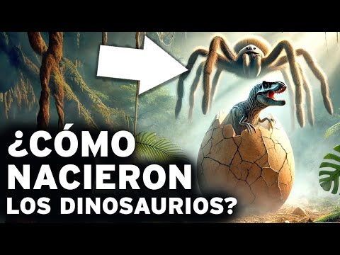 Descubrir el Origen