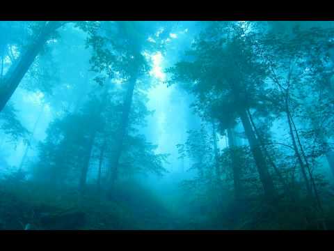 The Vagrant — The Vagrant Dark Harmonix