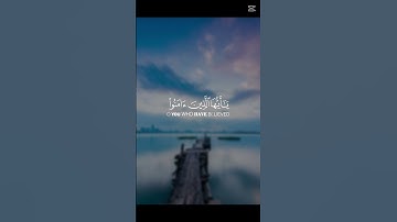 📖 يا أيها الذين آمنوا اصبروا وصابروا ورابطوا | تلاوة خاشعة للقارئ عبدالرحمن الزواوي - سورة آل عمران