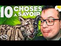 Mes 10 astuces indispensables pour bien commencer sur planet zoo