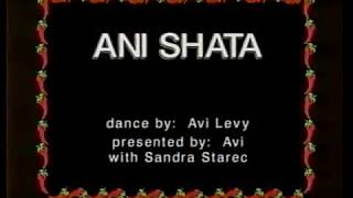 Ani Shata - אני שטה | Avi Levy - אבי לוי | Hora Keff 2000
