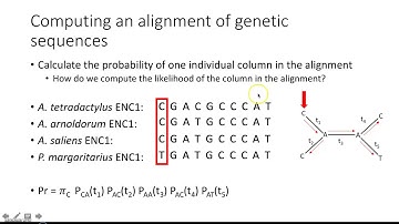 Maximum Likelihood Estimation