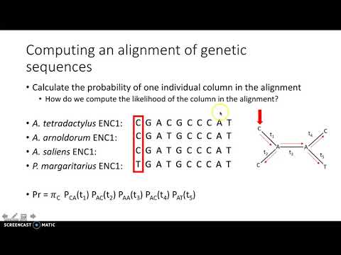 Video: Phylogenomic Menganalisis Data Proyek Filogenomik Unggas