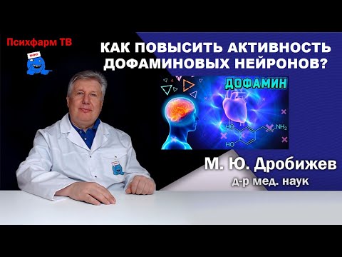 Как повысить активность дофаминовых нейронов?