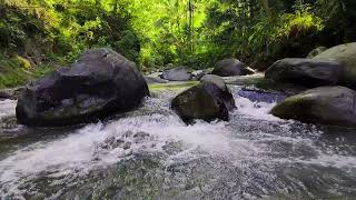 Whispering River Echoes – Drift Into Sleep, Flow Into Mindfulness | for Soul Recovery