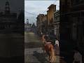 بلک واتر ردد 1 ريدديد Rdr1 Shorts Game 