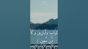 أرح سمعك 🥀القارئ: عمر شميم 🍃حالات واتس آب