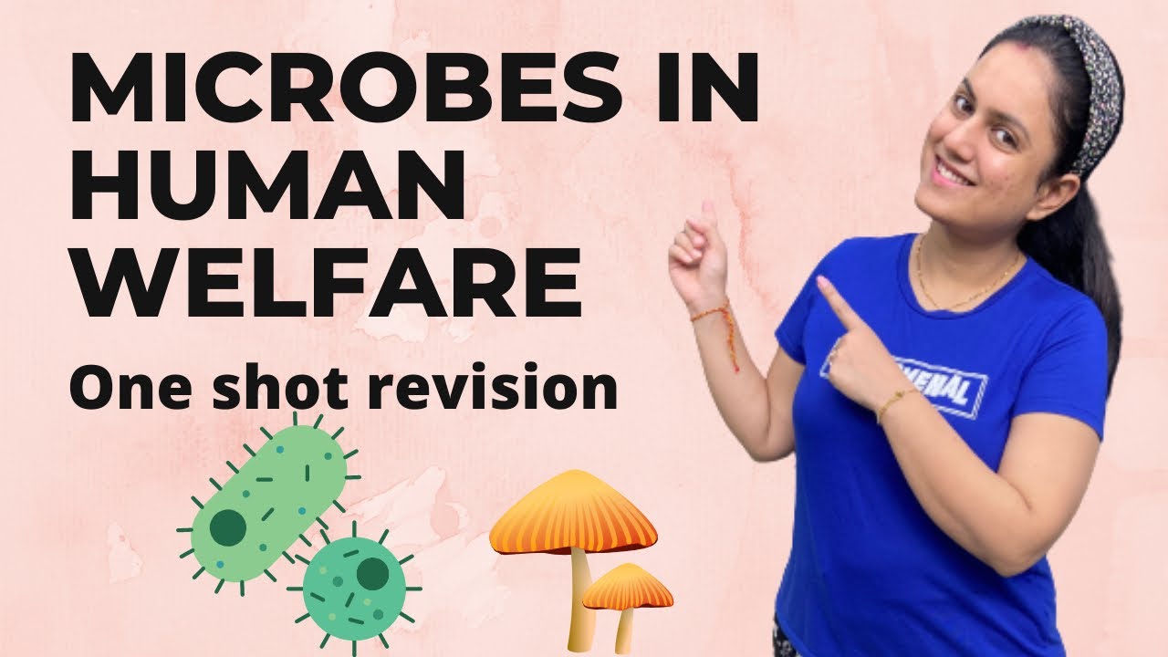 Microbes in Human Welfare - One Shot Revision | NEET Biology | Class ...