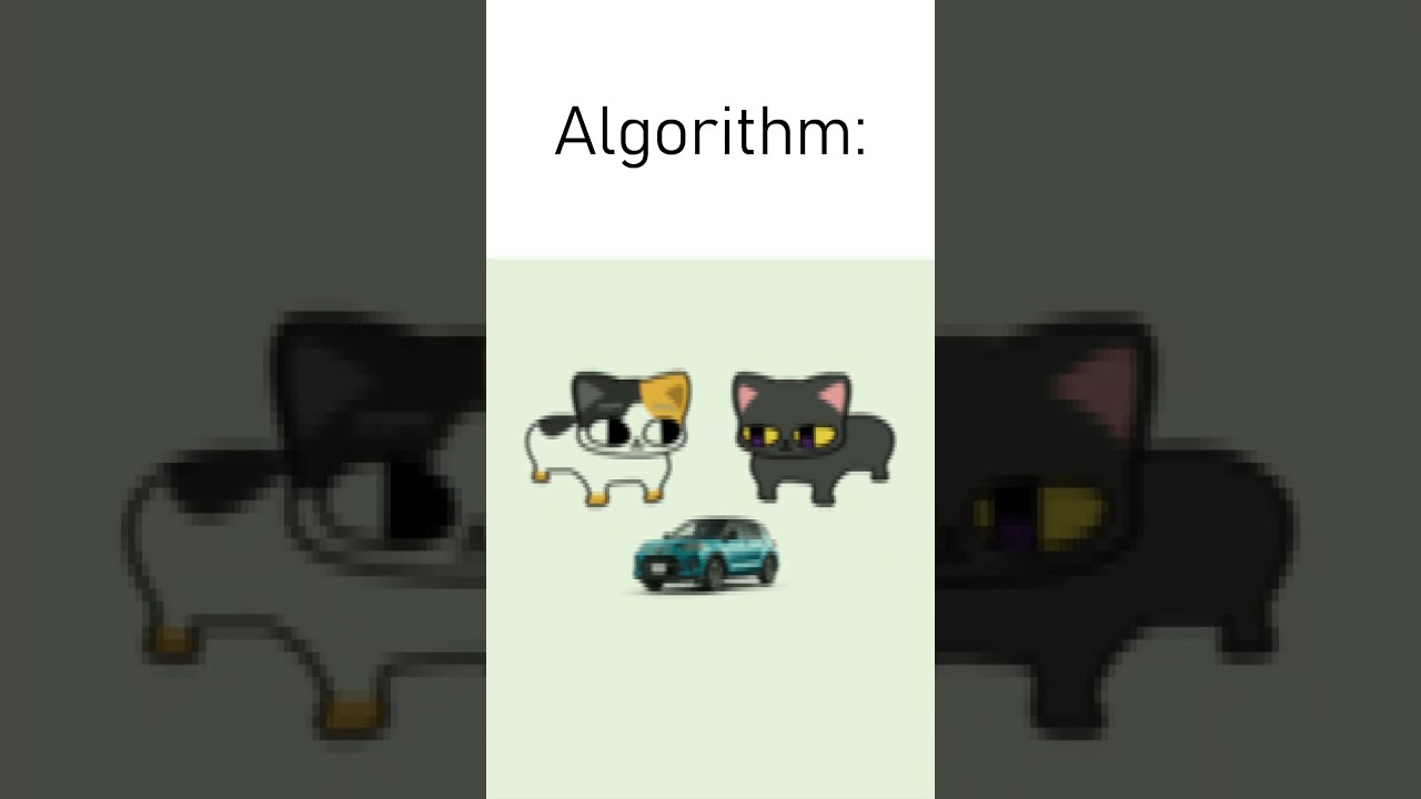 Algorithm I Found A Video You Might Like 