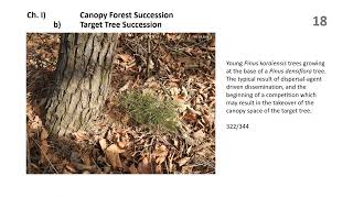 Doc no150   Future of the KMLA Forest
