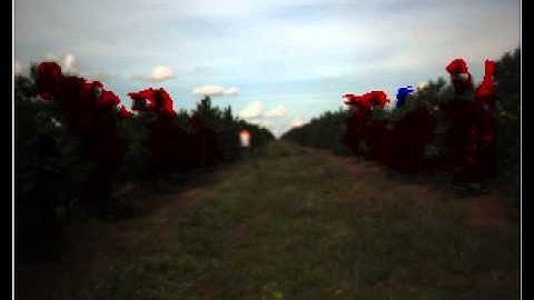 Agricultural Environment Obstacle Detection using a Stereo Camera and Neural Networks - High Brushes