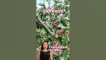 #fcnfm The Future of Food Preservation: Innovative Drying Equipment for Every Need