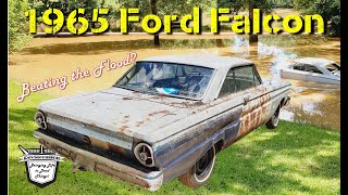 Out Running a FLOOD in an ABANDONED 1965 Ford Falcon: Pulling from Her Grave & Hit the Road?