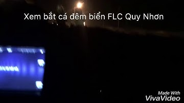 Bắt cá đêm nước cạn biển FLC Quy Nhơn