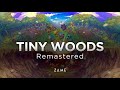 Tiny woods remastered  pokmon mystery dungeon red rescue team